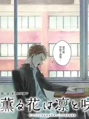 城市漫游者 综艺海报